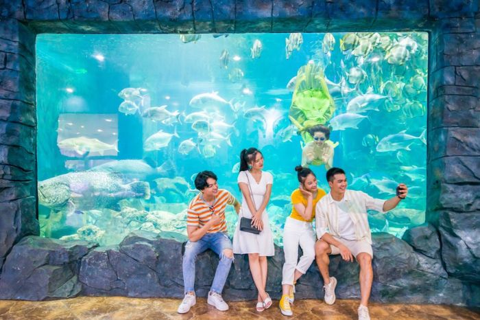 Thuỷ cung Vinwonders Phú Quốc