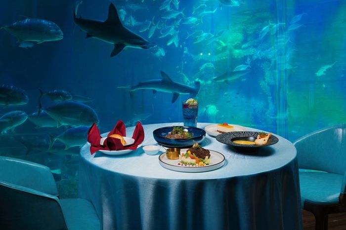 Thuỷ cung Vinwonders Phú Quốc có gì