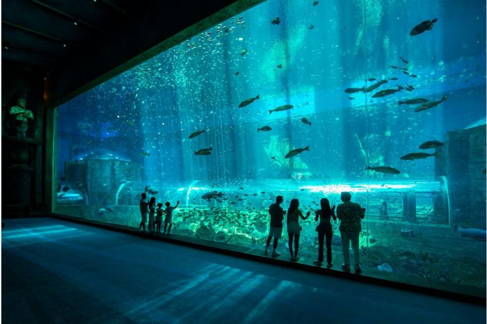 Thuỷ cung Vinwonders Phú Quốc