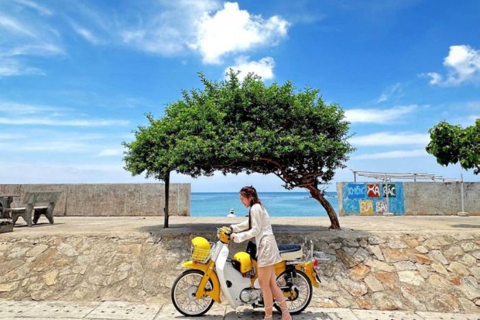 Phương tiện đi Thuỷ cung Vinwonders Phú Quốc