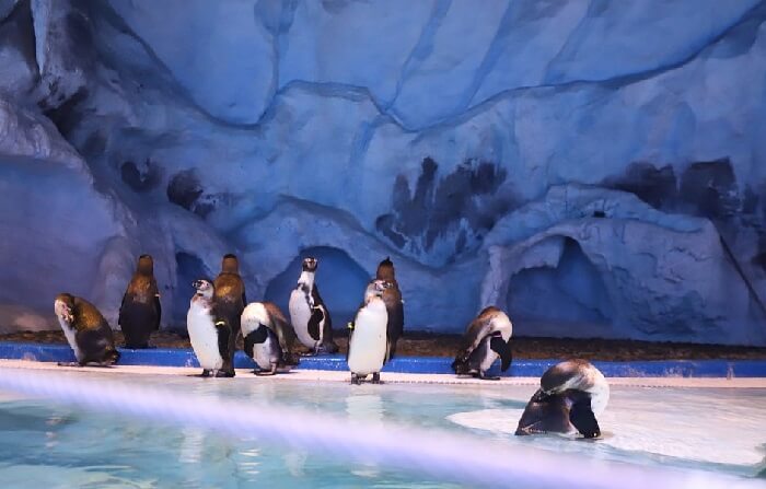 VinWonders Phú Quốc