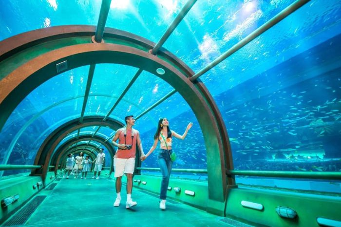 Bản đồ VinWonders Phú Quốc có gì