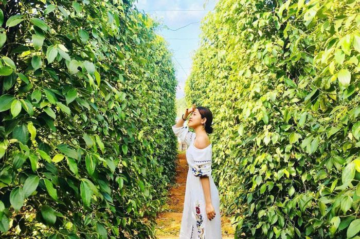 Top cảnh đẹp Phú Quốc ở Đông đảo và Tây đảo