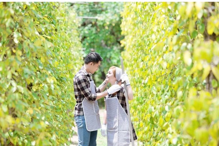 Tour Nam đảo Phú Quốc