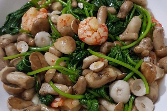 Nấm tràm Phú Quốc