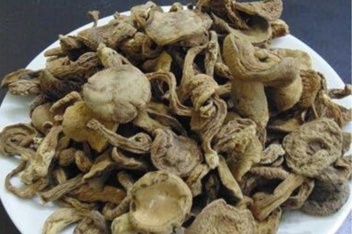 Nấm tràm Phú Quốc