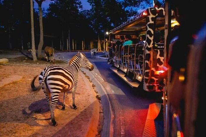 Phú Quốc về đêm