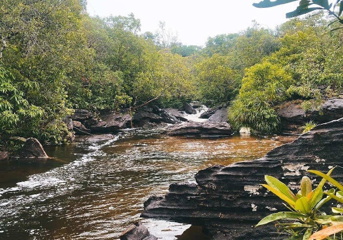 Suối Phú Quốc
