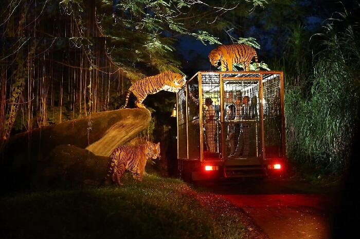 Vinpearl Safari Phú Quốc