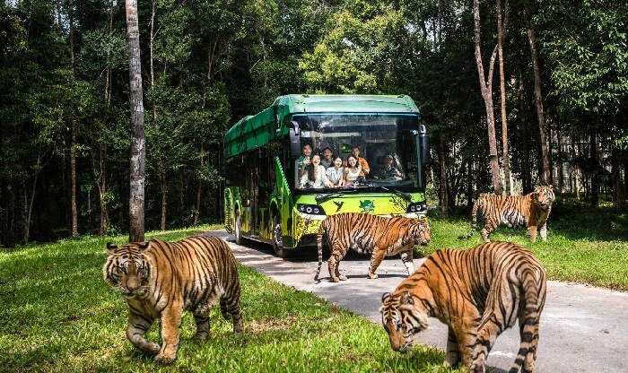Vinpearl Safari Phú Quốc