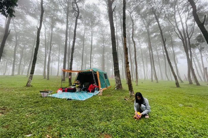 Vườn quốc gia Việt Nam có gì