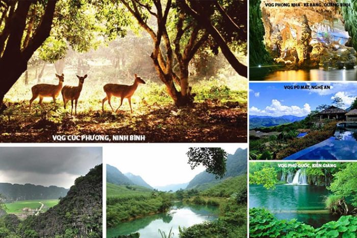 Vườn quốc gia Việt Nam