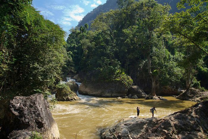 Vườn quốc gia Việt Nam