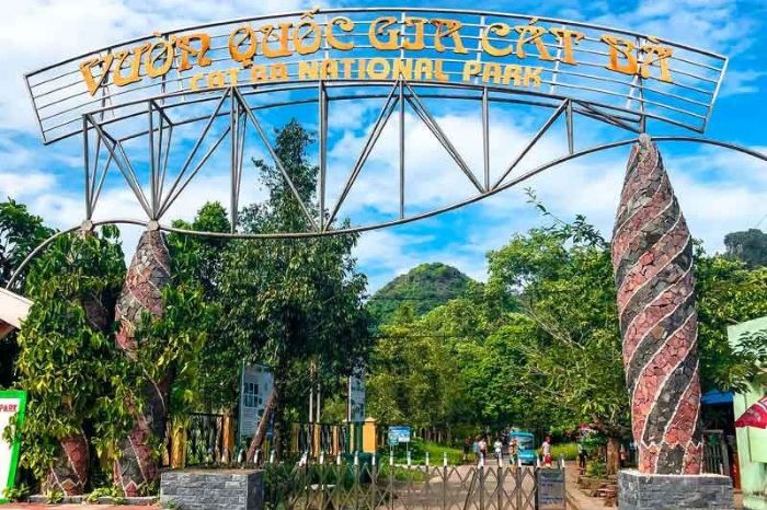 Top 10 Vườn quốc gia Việt Nam đẹp nhất