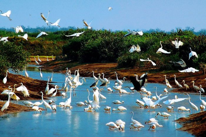 Top 10 Vườn quốc gia Việt Nam đẹp nhất