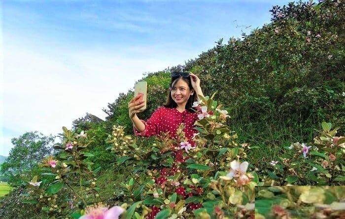 Vườn sim Phú Quốc