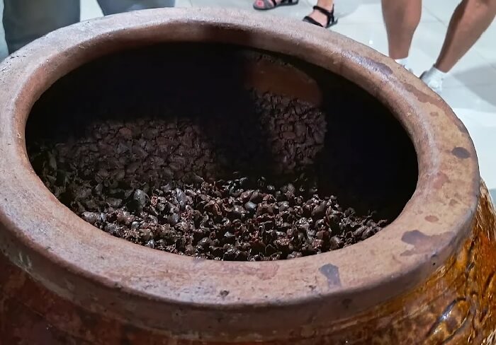 Vườn sim Phú Quốc