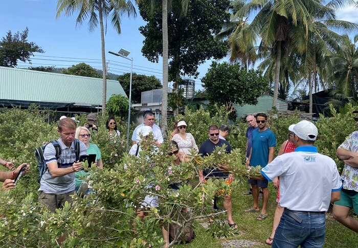 Vườn sim Phú Quốc